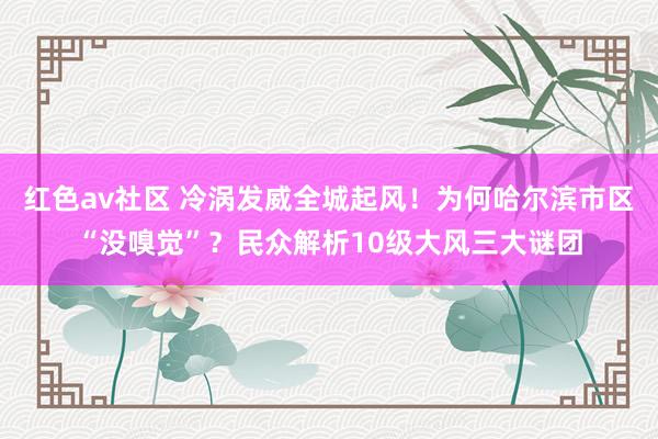 红色av社区 冷涡发威全城起风！为何哈尔滨市区“没嗅觉”？民众解析10级大风三大谜团
