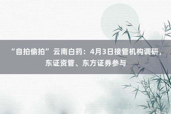 “自拍偷拍” 云南白药：4月3日接管机构调研，东证资管、东方证券参与