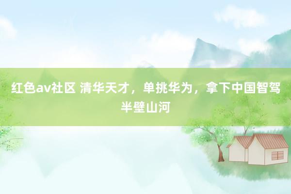 红色av社区 清华天才，单挑华为，拿下中国智驾半壁山河