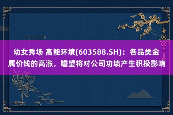 幼女秀场 高能环境(603588.SH)：各品类金属价钱的高涨，瞻望将对公司功绩产生积极影响
