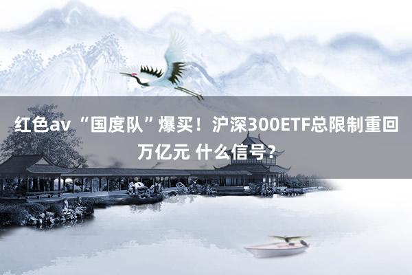 红色av “国度队”爆买！沪深300ETF总限制重回万亿元 什么信号？