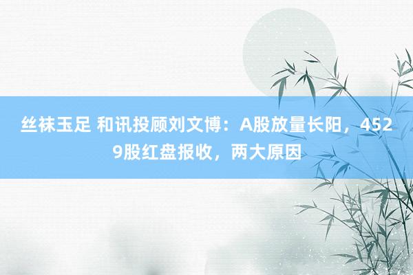 丝袜玉足 和讯投顾刘文博：A股放量长阳，4529股红盘报收，两大原因