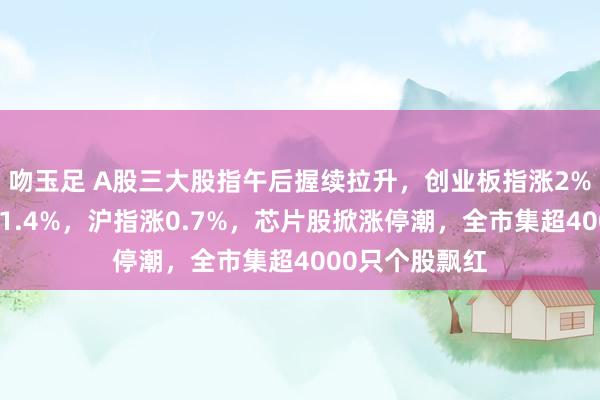 吻玉足 A股三大股指午后握续拉升，创业板指涨2%，深证成指涨1.4%，沪指涨0.7%，芯片股掀涨停潮，全市集超4000只个股飘红