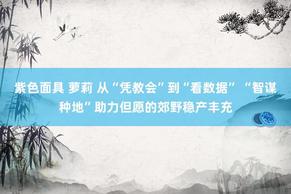 紫色面具 萝莉 从“凭教会”到“看数据” “智谋种地”助力但愿的郊野稳产丰充