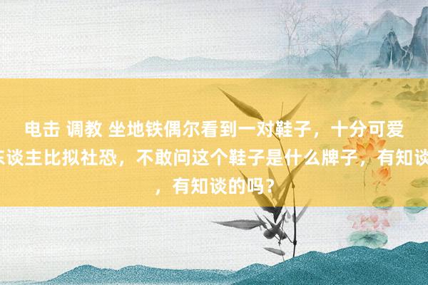 电击 调教 坐地铁偶尔看到一对鞋子，十分可爱。本东谈主比拟社恐，不敢问这个鞋子是什么牌子，有知谈的吗？