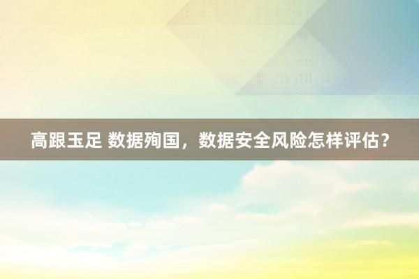 高跟玉足 数据殉国，数据安全风险怎样评估？