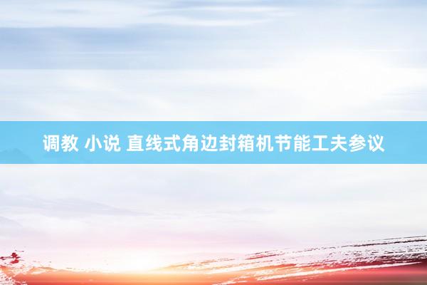 调教 小说 直线式角边封箱机节能工夫参议