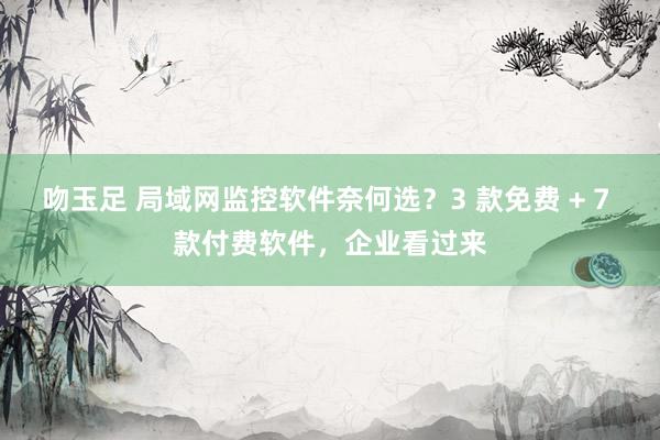 吻玉足 局域网监控软件奈何选？3 款免费 + 7 款付费软件，企业看过来
