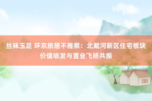 丝袜玉足 环京旅居不雅察：北戴河新区住宅板块价值喷发与置业飞扬共振